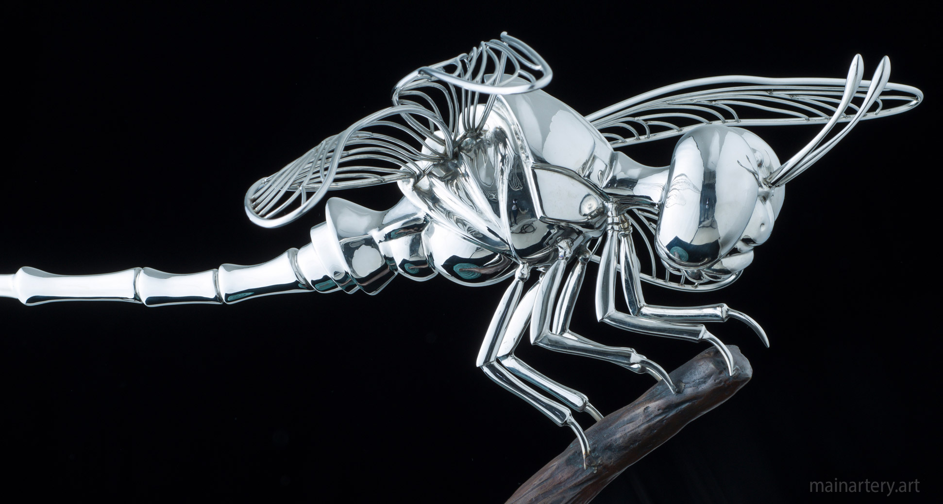 polished representational polished dragonfly artwork image