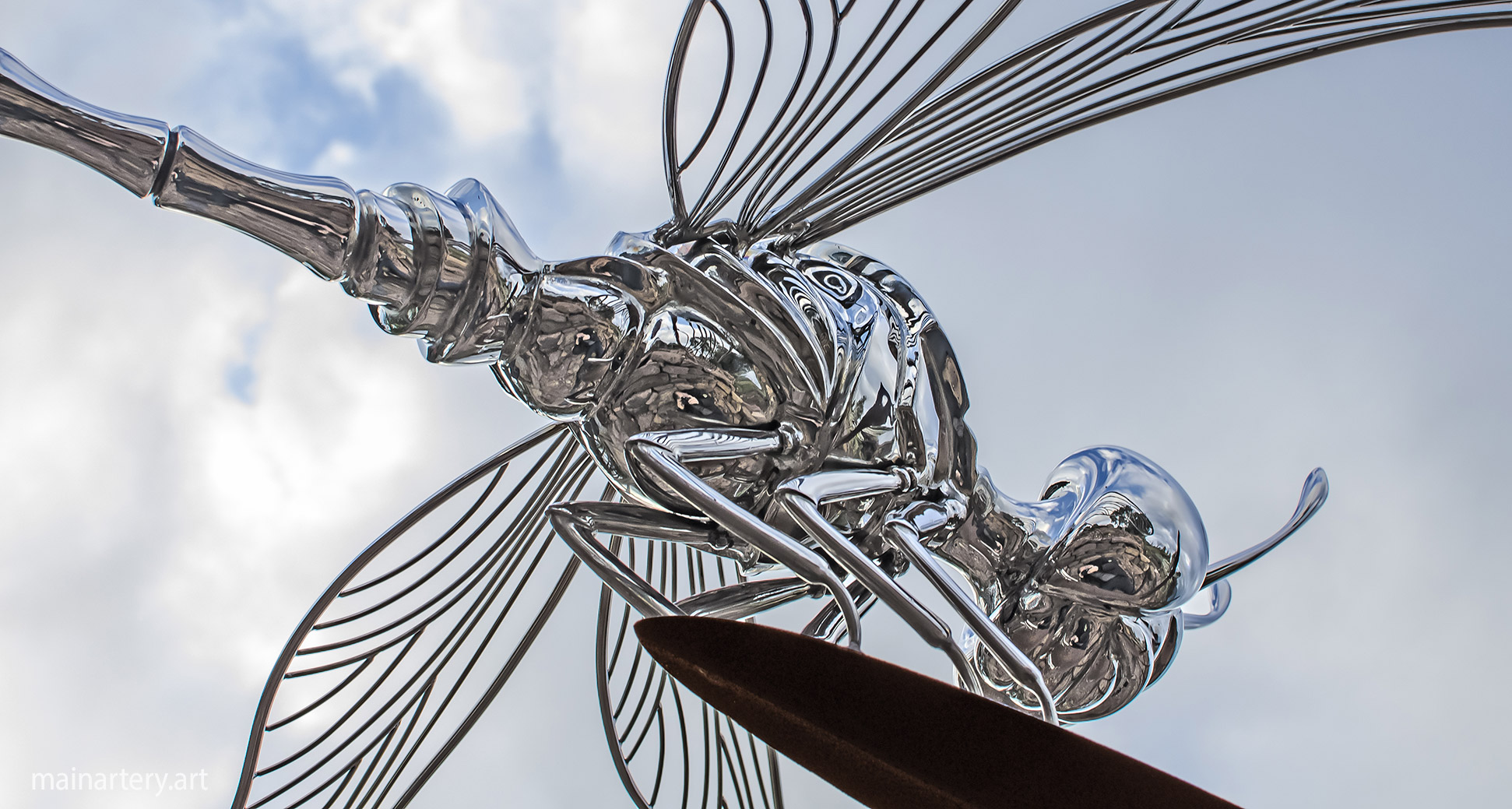 large stainless steel organic dragonfly detailed art image