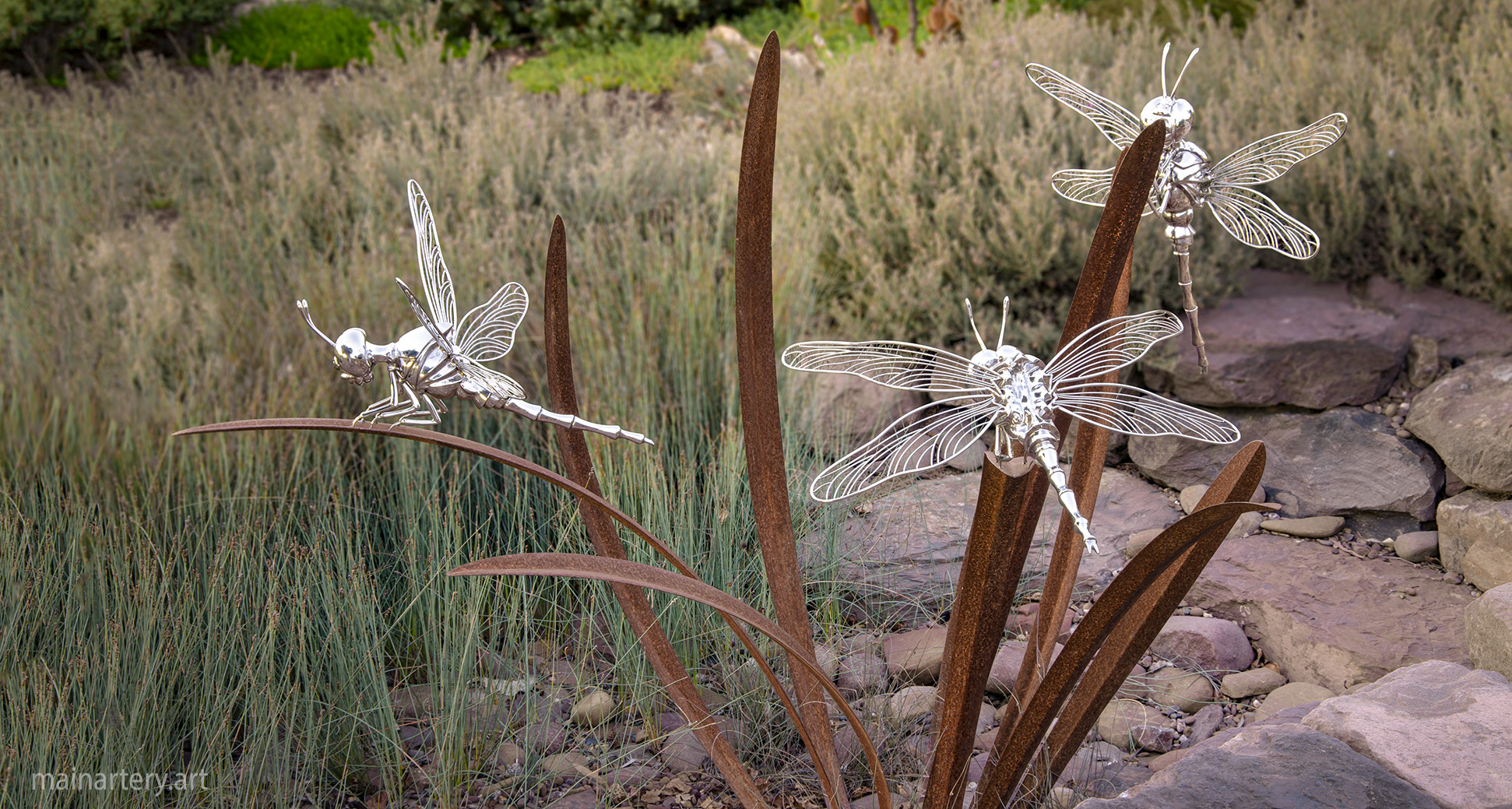 courtyard stainless steel contemporary dragonfly garden sculpture image